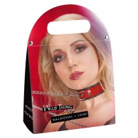 ZADO - bőr nyakörv pórázzal (piros) 75182 termék bemutató kép