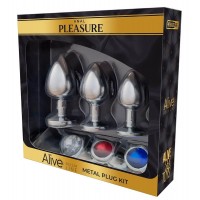Alive Anal Pleasure - fém anál dildó készlet (ezüst) 78308 termék bemutató kép