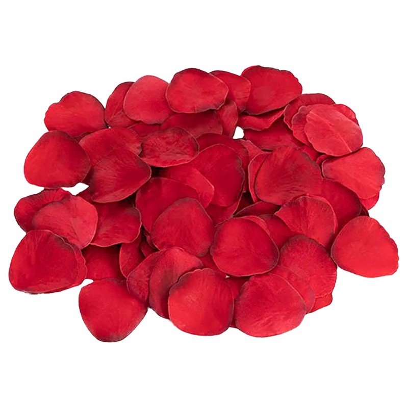 Dreamtoys Amour - hordható bugyi vibrátor szett (piros) 151046 termék bemutató kép