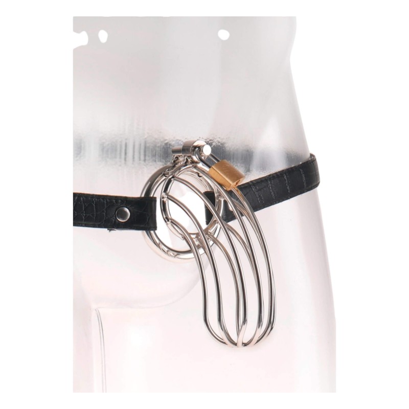 Fetish The Prisoner - fém péniszketrec (ezüst) 92458 termék bemutató kép