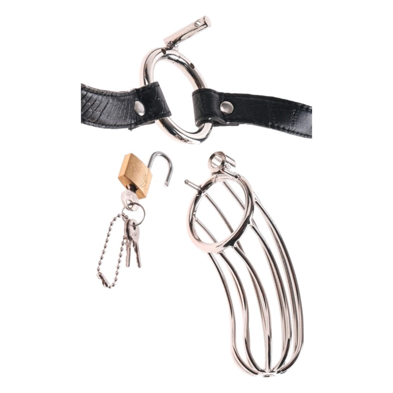 Fetish The Prisoner - fém péniszketrec (ezüst) 92460 termék bemutató kép