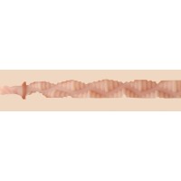 Fleshlight Brandi Love Heartthrobe - vagina 57789 termék bemutató kép