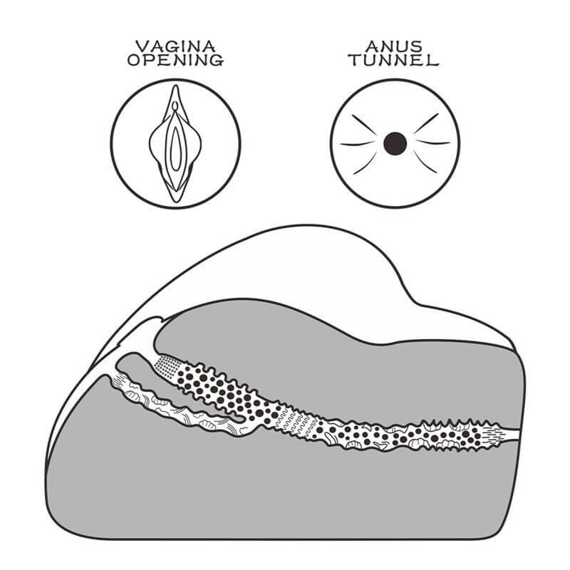 Lovetoy Streetgirl's - műpunci és popsi torzó (natúr) 86491 termék bemutató kép