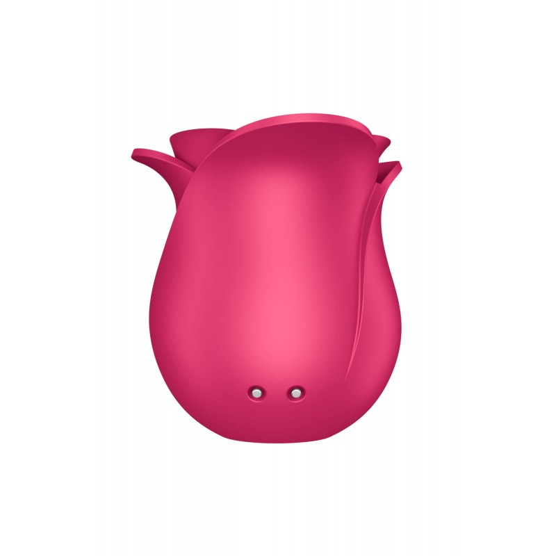 Satisfyer Pro 2 Modern Blossom - léghullámos csiklóizgató (pink) 83212 termék bemutató kép