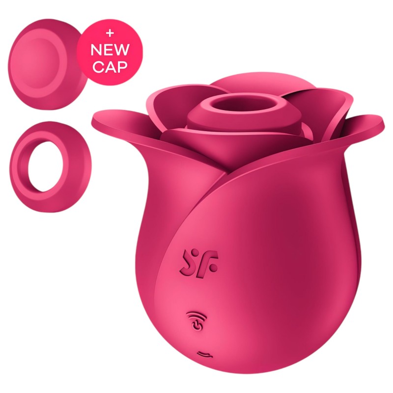 Satisfyer Pro 2 Modern Blossom - léghullámos csiklóizgató (pink) 101153 termék bemutató kép