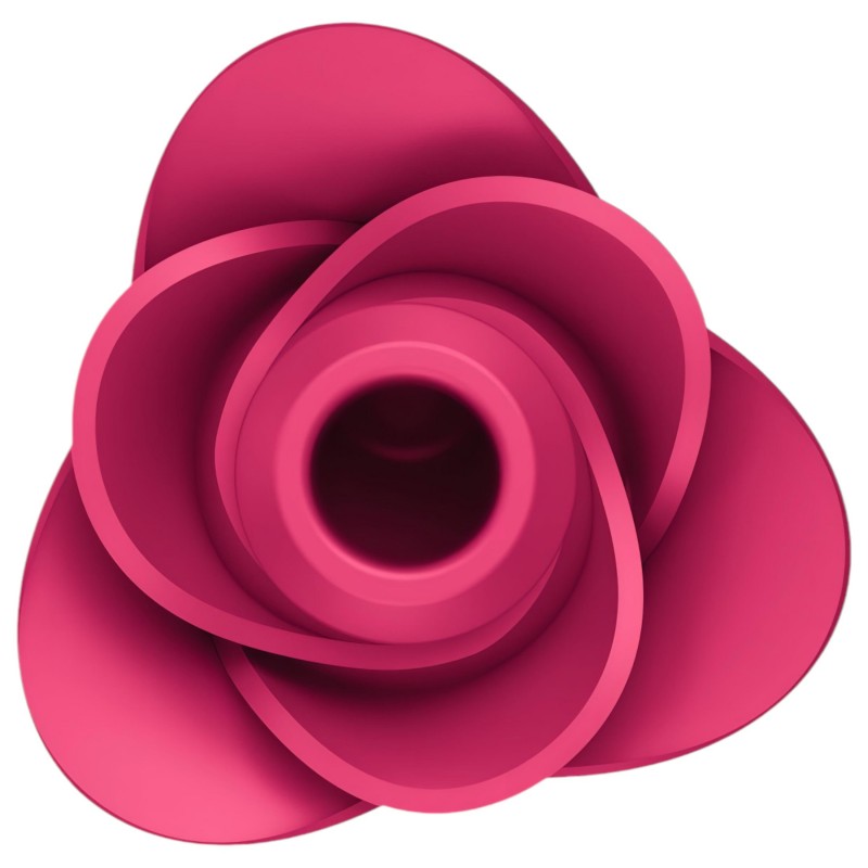 Satisfyer Pro 2 Modern Blossom - léghullámos csiklóizgató (pink) 101155 termék bemutató kép