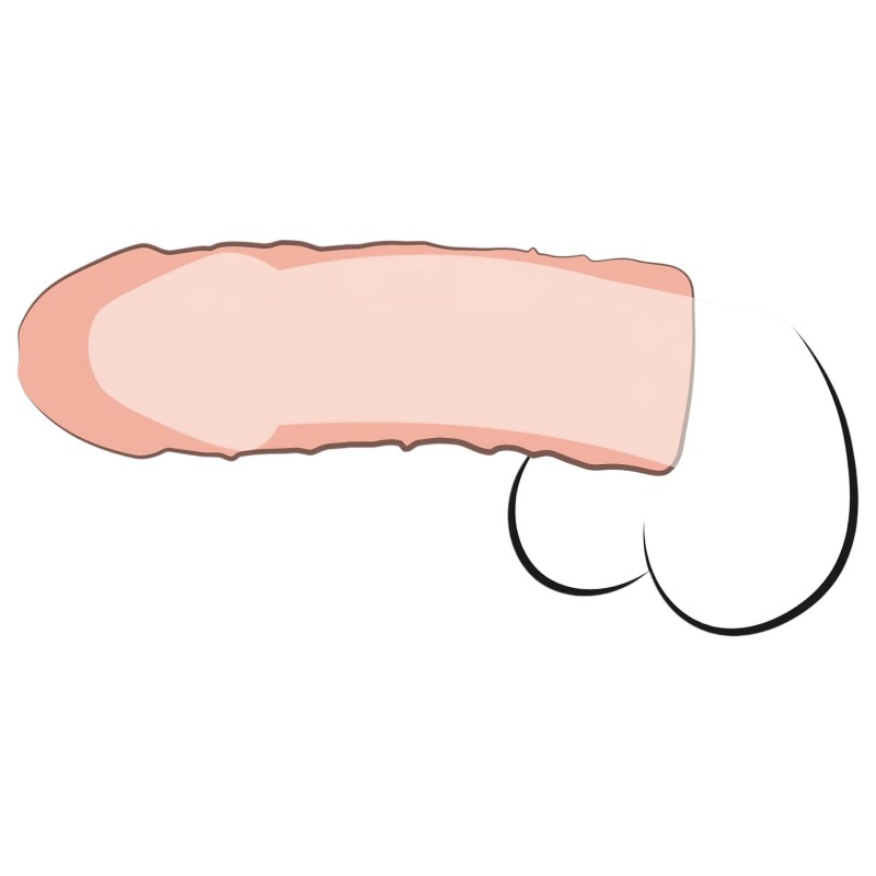 Pipedream - X-TENSION Perfect 1 - élethű péniszköpeny (17,7 cm, natúr) 131521 termék bemutató kép