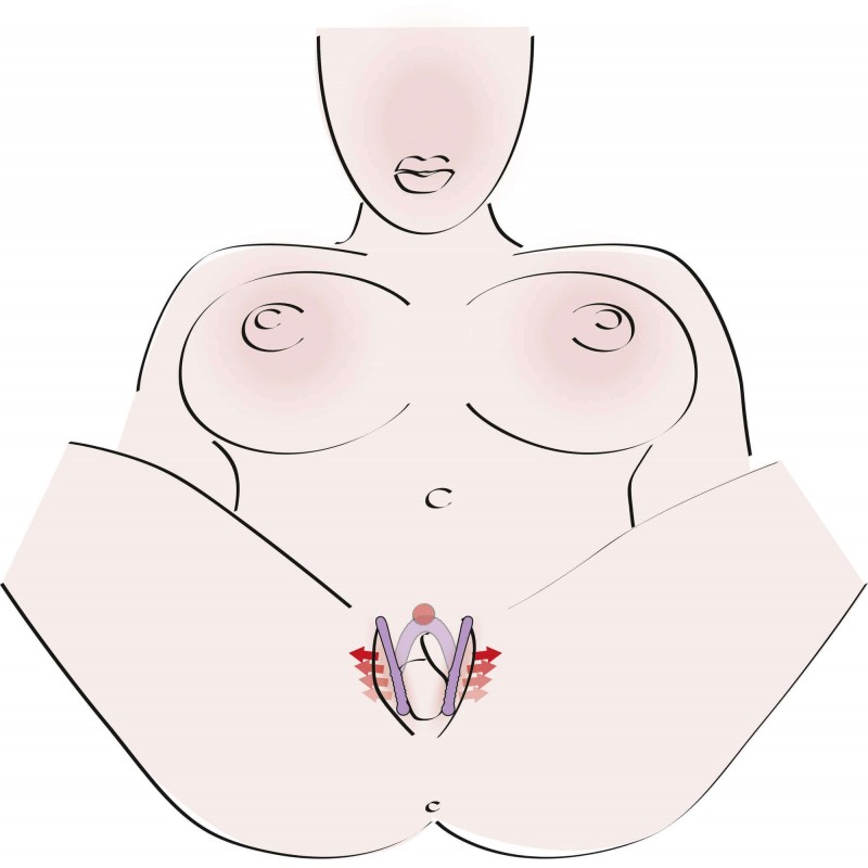 You2Toys - Intimate Spreader hüvely széthúzó 97403 termék bemutató kép