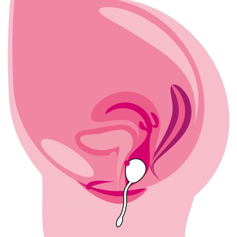 You2Toys RC Single - rádiós vibrációs tojás (lila) 59474 termék bemutató kép